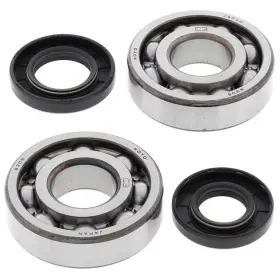 24-1009 All Balls Crank Shaft Bearing Kit Kawasaki Kxt250a Tecate/kxt250b Tecate