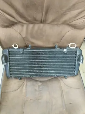 1ooo Apollo Racing 745895549462 Nice Used Radiator For Aprilia Tuono 2007 2008 2009 2010