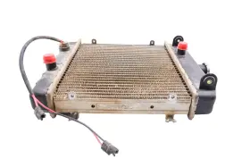 Arctic Cat 0413-038 02 500 4x4 Fis Auto Radiator