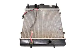 Arctic Cat 0413-043 06 650 H1 4x4 Radiator