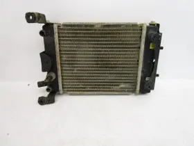 3303-737 Arctic Cat 2006-2015 Dvx 300 250 Radiator