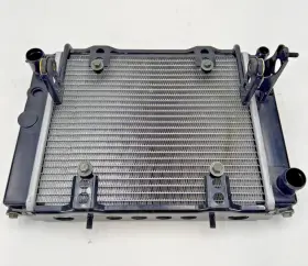 Arctic Cat 3306-334 11-24 425 450 Alterra 500 Radiator Assembly
