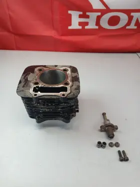 3402-251 Arctic Cat 2000 4x4 300 Atv Engine Cylinder 53477