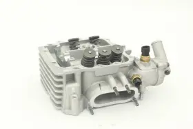 Bennche 1220a-007h-0000 Cylinder Head With Valves Complete Assembly