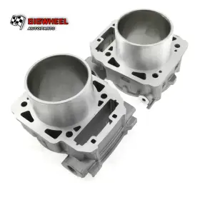 Bigwheel Cy130aa2009 For Can-am Renegade 1000 T3 2018-2020 Only T Models Front Rear Cylinder New