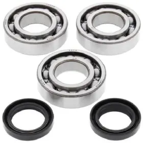 24-1092b Boss Bearing Crank Shaft Kit