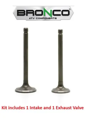 Bronco 127619 Intake And Exhaust Valves Kit Set Breeze Grizzly Raptor 125 1989-2013