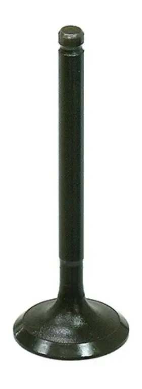 Au-09212i Bronco Atv Intake Valve #au-09212i For Polaris/yamaha