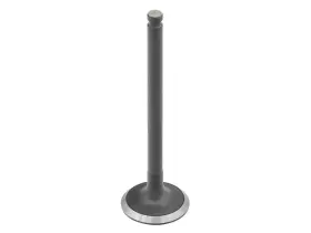 Bronco Atv Au-09230i Intake Valve For Suzuki Lt-z90 Quadsport 90 2007-2009/2014-2020