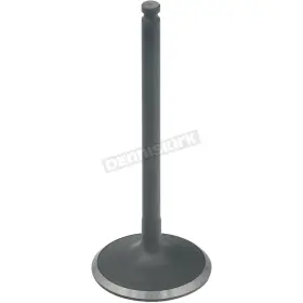 Au-09234i Bronco Intake Valve