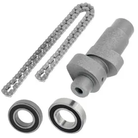 Caltric Cm118 Xd102 Br106 Tc106 Camshaft With Bearings Chain For Yamaha Kodiak 400 Yfm400fa Yfm400a 2x4 4x4 02-06