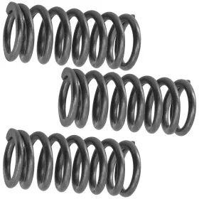 Cs259 Caltric Primary Drive Clutch Spring For Honda Nc750xa 2021-2022 Qty 3 Cs259 Caltric Primary Drive Clutch Spring For Honda Nc750xa 2021-2022 Qty 3