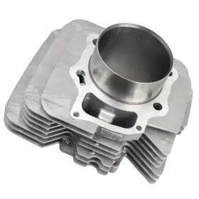 Caltric Cy107/2 Cylinder Compatible With Honda Trx500fe Trx500fm Foreman 500 4x4 Es S