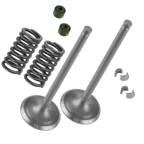 Caltric Rr3568vk226pp 2x Exhaust Valve Kit For Honda Pioneer 1000 / 1000-5 2016 2017-2022