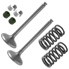 Caltric Rr4922vk105pp 2xexhaust Valve Kit For Yamaha Yfz450v 2006-2007/5ta-12121-00-00 1aa-12118-00-00