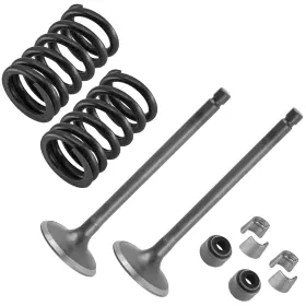 Rr4983vk117pp Caltric 2x Exhaust Valve Kit For Yamaha Kodiak 700 Yfm700k 4x4 2019 2020 2021 2022