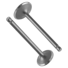 Caltric Va124 Va125 Intake And Exhaust Valve For Kawasaki Lakota 300 1995 1996 1997 1998 1999-2003