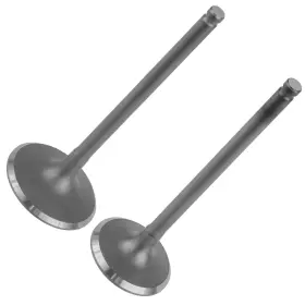 Caltric Va202 Va203 Intake And Exhaust Valve For Honda Rancher 420 2007 2008 / 14711-hn7-000