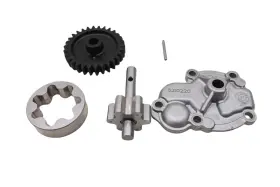 Can-am 420210220 23 Can-am Spyder F3 Limited Ace Se6 Oil Pump