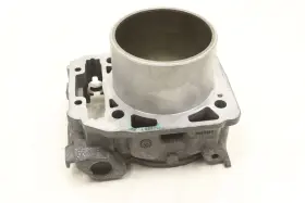 Can-am 420413115 Can-am Defender Hd10 Cab 18 Engine Cylinder Rear 420413117 52621