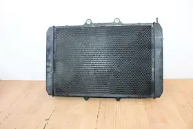Cfmoto 5byv-181000-a100 2022 Zforce 950 Ho Ex Radiator Cooler With Fan