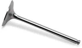 Del West 2435-d307448-atv Titanium Intake Valve 1mm Oversize -outer For 2010 Yamaha Yfz450x