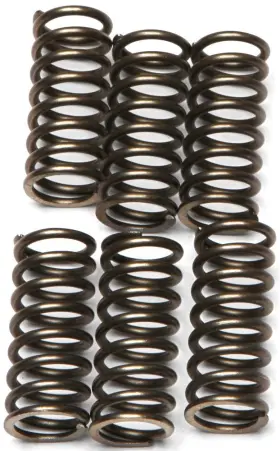 Ebc Csk120 M-020 Csk Clutch Spring Kit For Ktm 450 Mxc 2006