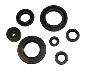 Factory Spec At-09223 Engine Oil Seal Kit 1987-2006 For Yamaha Banshee 350 Yfz350