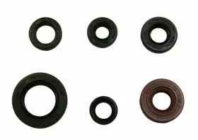 Factory Spec At-09604 Engine Oil Seal Kit Fits Honda 1993-2008 Trx300ex Sportrax