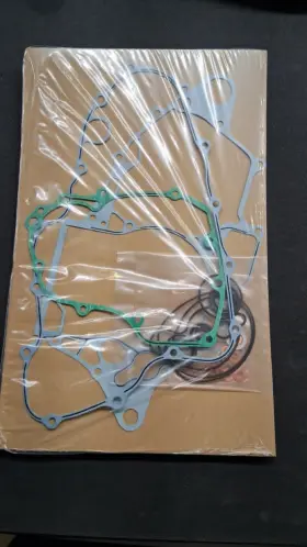 Honda 06112-hp1-600 Oem Bottom End Gasket Kit Trx450er 06