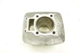 Honda 12100-hn5-670 Rancher 350 Tm 06 Engine Cylinder 48314