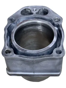 Honda 12100-hp7-a00 2007-2013 Rancher 420 Oem Cylinder Jug