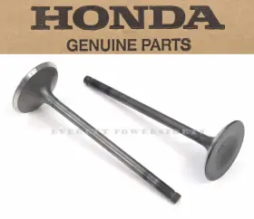 Honda 14711hn8000 New Genuine Intake Valve Set Trx650 Trx680 Rincon Muv700
