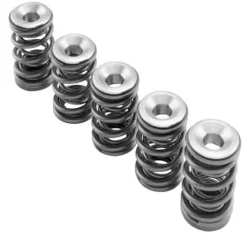 Hot Cams Skyfm660s2 Valve Spring Kit For Yamaha Yfm 660 R Raptor 2001-2005