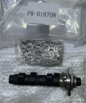 Hotcams F8-018708 Labwork Camshaft With Timing Chain