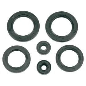 K&s Technologies 6637-k423852-atv K&s Engine Oil Seal Kit For 1994-1999 Polaris Sport 400l Atv