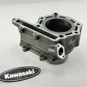 Kawasaki 11005-1831 2003 Mojave 250 2x4 Cylinder Ksf250a