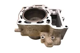 Kawasaki 11005-1918 08 Brute Force 650 4x4 Front Cylinder Kvf650