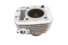 Kawasaki 11005-1965 03 Bayou 250 2x4 Cylinder Klf250