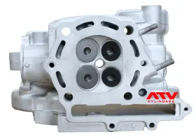 Kawasaki 11008-1323 Genuine 1987-2005 Mojave 250 Cylinder Head Exhaust Rocker New Valves
