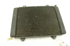 Kawasaki 39060-0008 Prairie 650 03 Radiator 39060-1177 48348