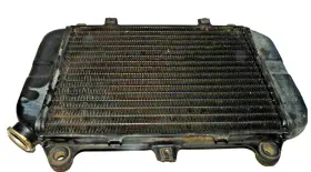 Kawasaki 39060-1110 1993 Bayou 400 Radiator Oem#