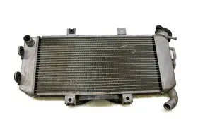 Kawasaki 39061-0110 08 Ninja 650r Radiator Ex650a