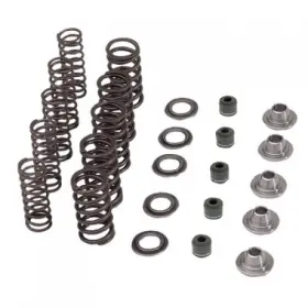 80-80206 Kibblewhite Valve Spring Kit For Atv/utv 80-80206 Kibblewhite Valve Spring Kit For Atv/utv