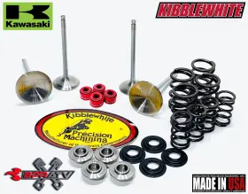 Kibblewhite Precision Kpmi Bpratv Kawasaki Kfx400 Kfx 400 60-60045 1mm Intake And Exhaust Valves Spring Kit Red Kp Seals