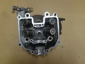 Kymco 1220a-pta1-800 Mxu450 Uxv450 Maxxer 450 Cylinder Head S#138