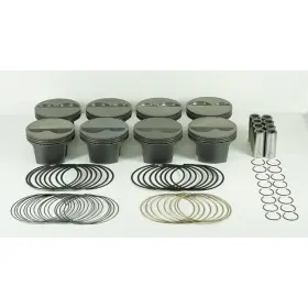 Mahle Motorsport 930202535 Engine Piston Kit