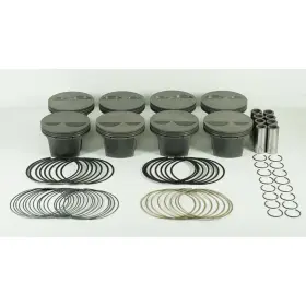 Mahle Motorsport 930206630 Engine Piston Kit