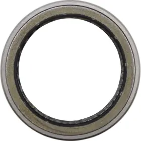 Moose Utility 100-5077-pu Primary Clutch Bearing