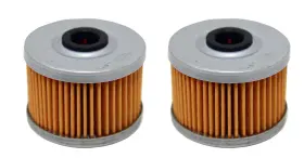 Not Branded 2 Fs-705ub 2 Pack Oil Filters For Honda Rancher 350 420 Trx300ex Trx400ex Foreman 450 500